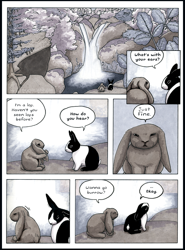 #11